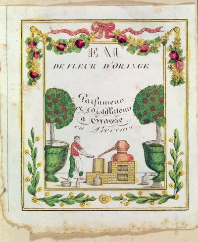 Vignette of 